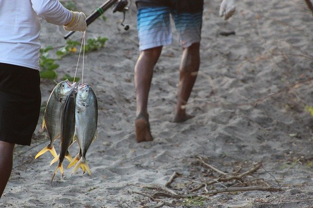 Descarga gratuita Fish Fishermen Fisherman - foto o imagen gratuita para editar con el editor de imágenes en línea GIMP