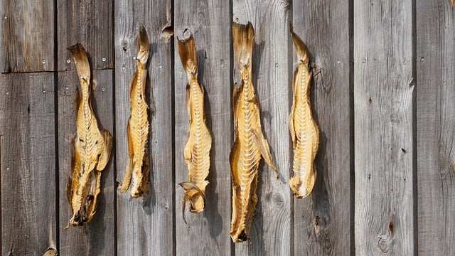 Free download fish fishing dried fish iceland free picture to be edited with GIMP free online image editor