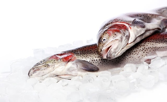 Free graphic fish fresh ice market cold to be edited by GIMP free image editor by OffiDocs