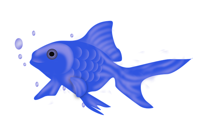 Free download Fish Icon Blue -  free illustration to be edited with GIMP free online image editor
