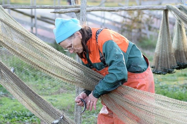 Muat turun percuma Fishing Baltic Herring - foto atau gambar percuma untuk diedit dengan editor imej dalam talian GIMP