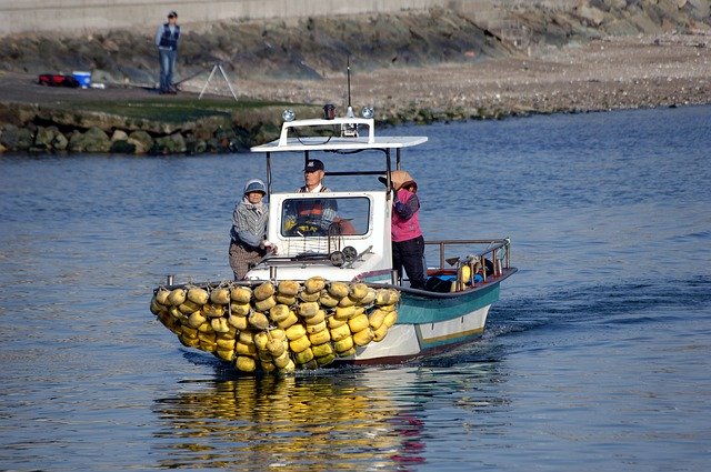Foto de plantilla Salida de barcos de pesca - para OffiDocs