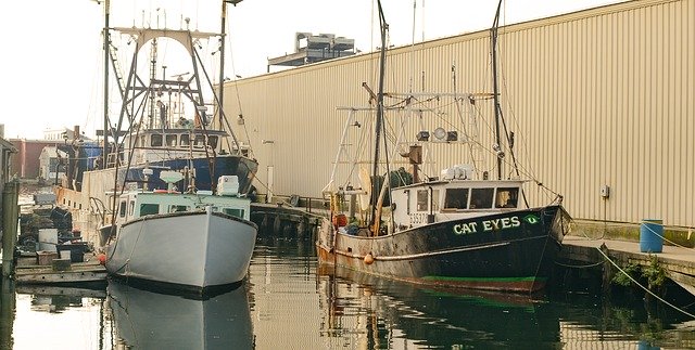 Free download Fishing Boats Gloucester New -  free photo or picture to be edited with GIMP online image editor