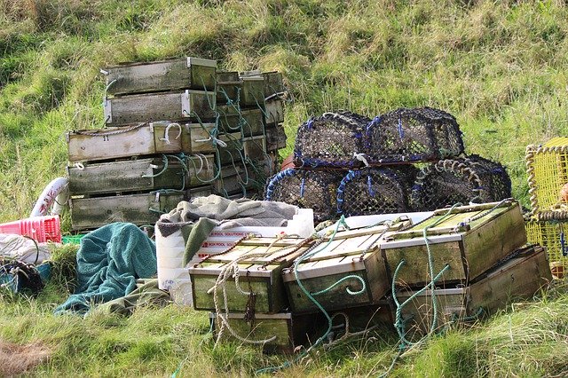 Muat turun percuma Fishing Boxes Lobster Creels - foto atau gambar percuma untuk diedit dengan editor imej dalam talian GIMP