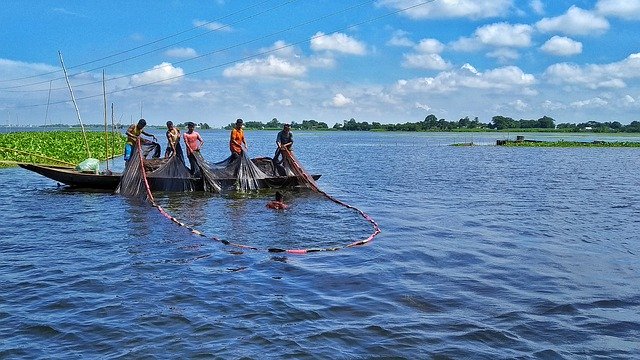 Tải xuống miễn phí Fishing Fisherman Fisher - ảnh hoặc ảnh miễn phí được chỉnh sửa bằng trình chỉnh sửa ảnh trực tuyến GIMP