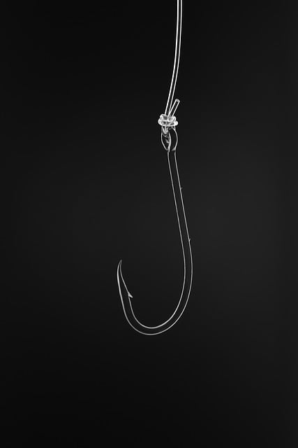 Free download fishing hook picture art line art free picture to be edited with GIMP free online image editor