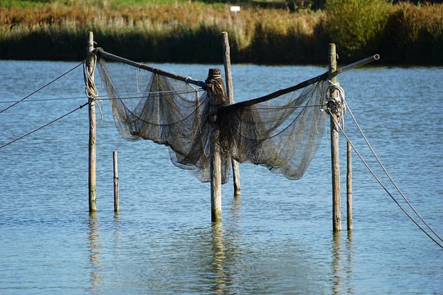 Free download fishing net blade free picture to be edited with GIMP free online image editor