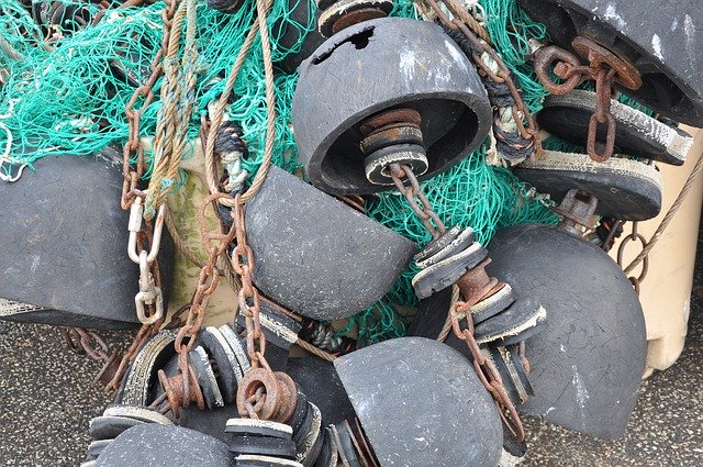 ดาวน์โหลดฟรี Fishing Net Web Safety - รูปถ่ายหรือรูปภาพฟรีที่จะแก้ไขด้วยโปรแกรมแก้ไขรูปภาพออนไลน์ GIMP