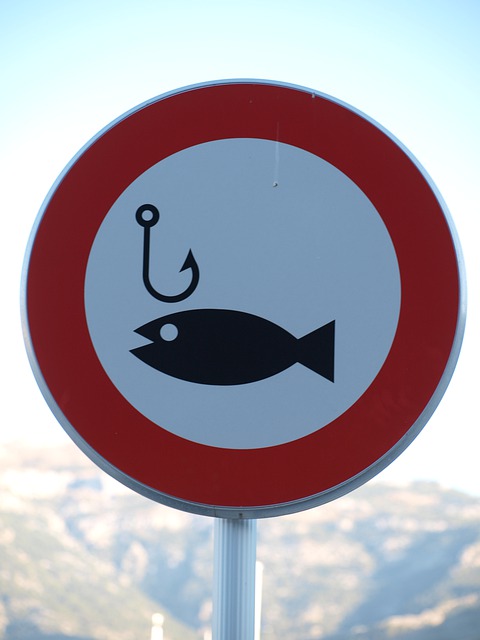 Free graphic fishing panels ban to be edited by GIMP free image editor by OffiDocs