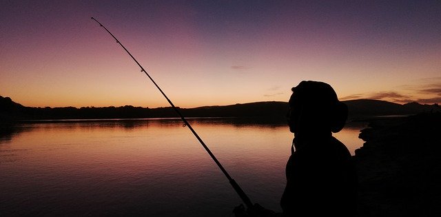 Free download Fishing Rod Silhouette -  free photo or picture to be edited with GIMP online image editor