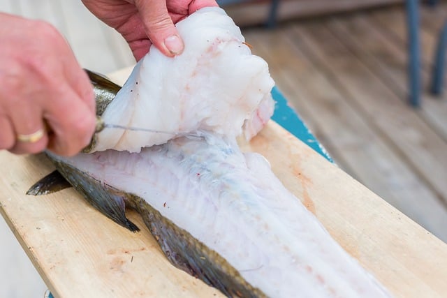 Free download fish knife slice seafood animal free picture to be edited with GIMP free online image editor