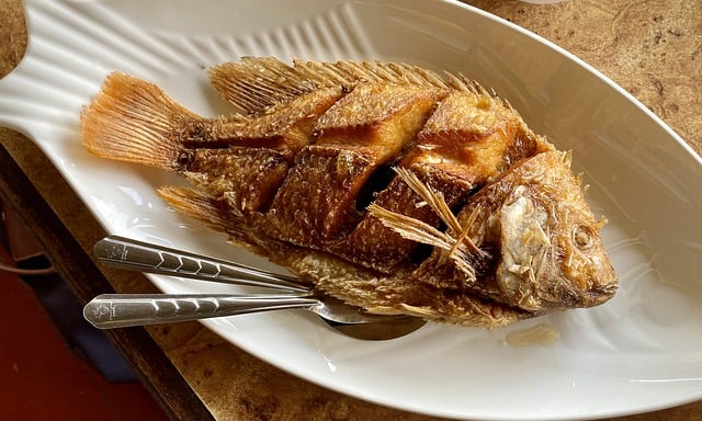 Free download fish meal carp asia thailand free picture to be edited with GIMP free online image editor