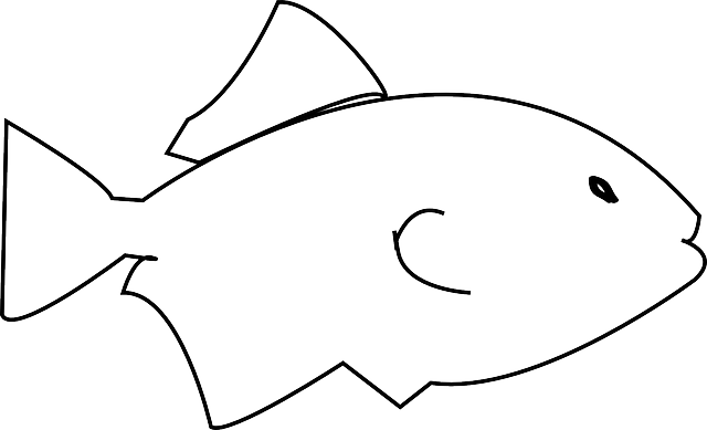 Descărcare gratuită Pește Ocean - Grafică vectorială gratuită pe Pixabay ilustrație gratuită pentru a fi editată cu editorul de imagini online gratuit GIMP
