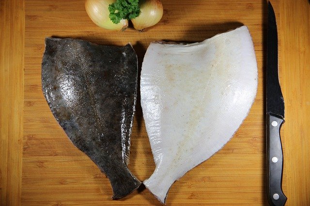 Template Photo Fish Plaice Fresh -  for OffiDocs