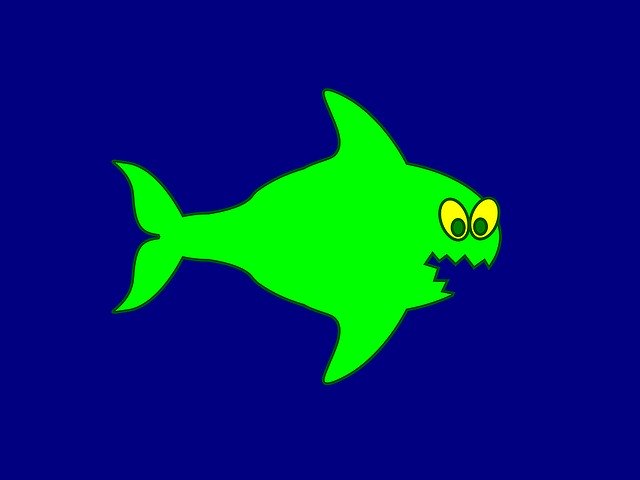 Free download Fish Predator Sea -  free illustration to be edited with GIMP free online image editor
