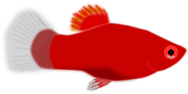 Free download Fish Red Small - Free vector graphic on Pixabay free illustration to be edited with GIMP free online image editor
