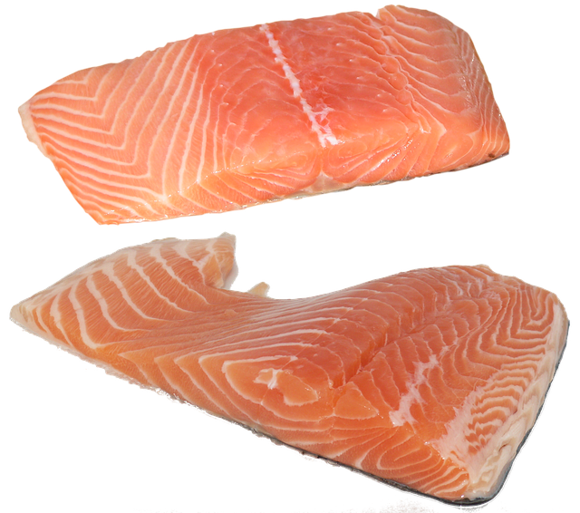 Free download fish salmon fillet omega 3 omega 6 free picture to be edited with GIMP free online image editor