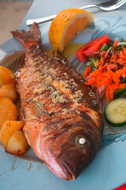 ดาวน์โหลดฟรี Fish Sea Bream Eat - ภาพถ่ายหรือรูปภาพฟรีที่จะแก้ไขด้วยโปรแกรมแก้ไขรูปภาพออนไลน์ GIMP