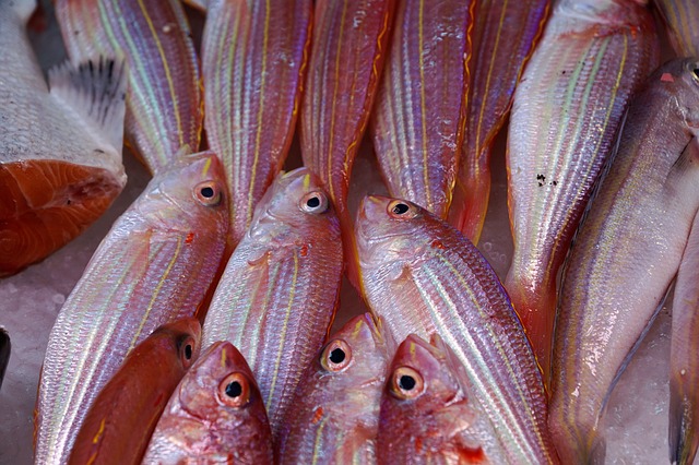 Free download fish seafood sea market ocean free picture to be edited with GIMP free online image editor