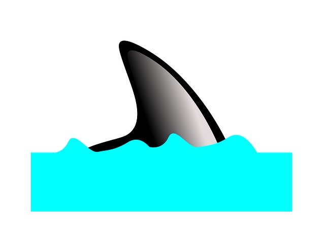 Free download Fish Shark Predator -  free illustration to be edited with GIMP free online image editor