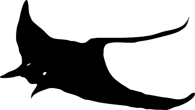 Free download Fish Silhouette Stingray - Free vector graphic on Pixabay free illustration to be edited with GIMP free online image editor