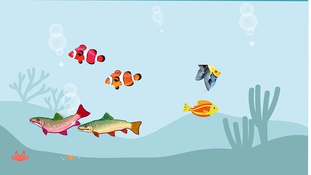 Kostenloser Download Fish The Sea Ocean Swimming - kostenlose Illustration, die mit dem kostenlosen Online-Bildeditor GIMP bearbeitet werden kann