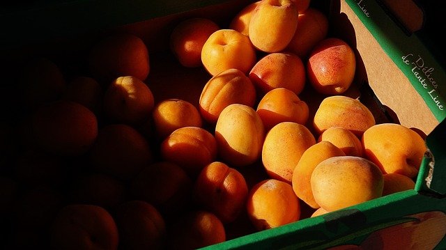 Free graphic fit healthy apricots health food to be edited by GIMP free image editor by OffiDocs