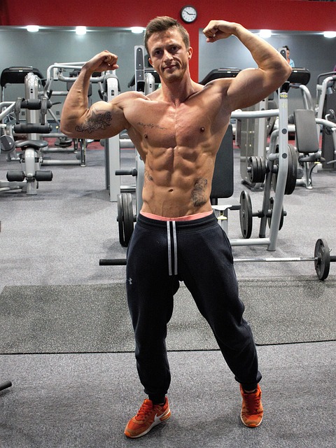 Free download fitness strengthening muscles man free picture to be edited with GIMP free online image editor