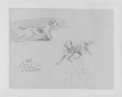 Free download Five Dogs; Two Figures (from Sketchbook) free photo or picture to be edited with GIMP online image editor