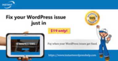 Free download Fix Word Press Issues free photo or picture to be edited with GIMP online image editor