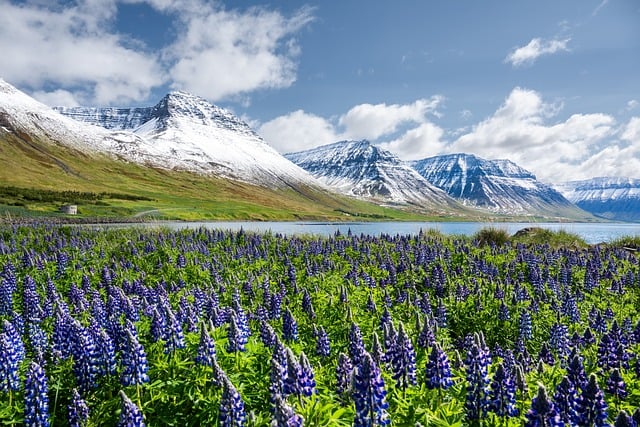 Free download fjord landscape flateyri iceland free picture to be edited with GIMP free online image editor