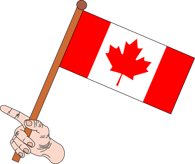 دانلود رایگان Flag Canada Canadian - گرافیک وکتور رایگان در تصویر رایگان Pixabay برای ویرایش با ویرایشگر تصویر آنلاین رایگان GIMP