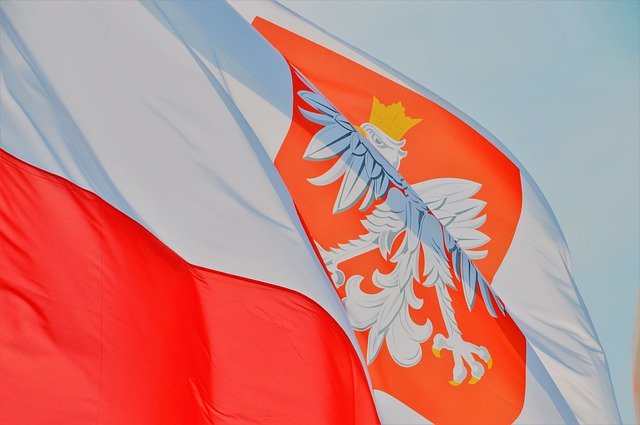 Descărcare gratuită Flag Eagle Symbol - fotografie sau imagini gratuite pentru a fi editate cu editorul de imagini online GIMP