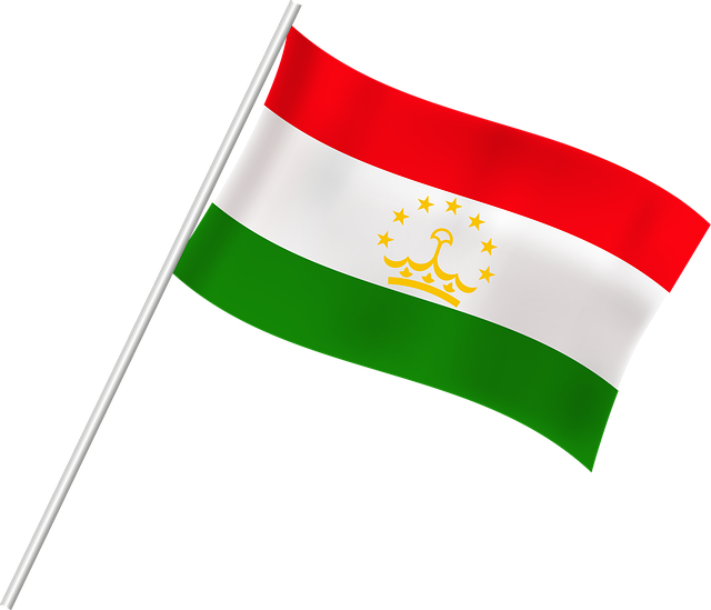 Бесплатная загрузка Флаг Иран Таджикистан бесплатная иллюстрация для редактирования с помощью онлайн-редактора изображений GIMP