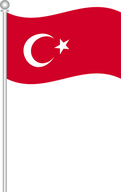 Free download Flag Of Turkey Turkish World - Free vector graphic on Pixabay free illustration to be edited with GIMP free online image editor