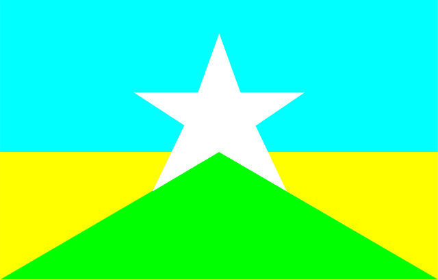 Free download Flag State Rondônia -  free illustration to be edited with GIMP free online image editor