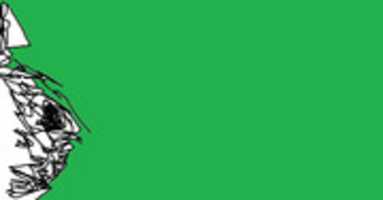 Free download flambass free photo or picture to be edited with GIMP online image editor