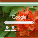Flame Azalea  screen for extension Chrome web store in OffiDocs Chromium