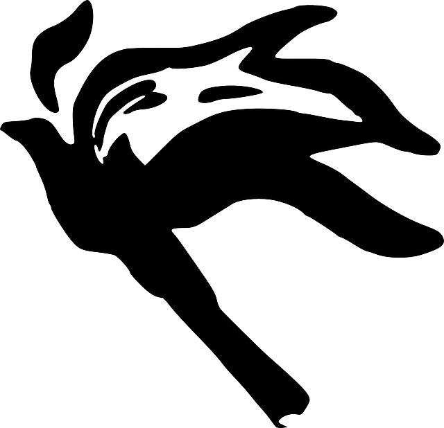Free download Flame Fire Black - Free vector graphic on Pixabay free illustration to be edited with GIMP free online image editor