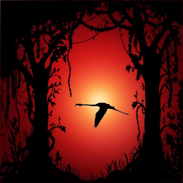 Free download Flamenco Trees Twilight -  free illustration to be edited with GIMP free online image editor