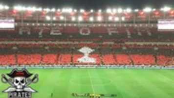 Free download FLAMENGO 2 free photo or picture to be edited with GIMP online image editor