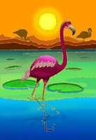 Free picture Flamingo to be edited by GIMP online free image editor by OffiDocs