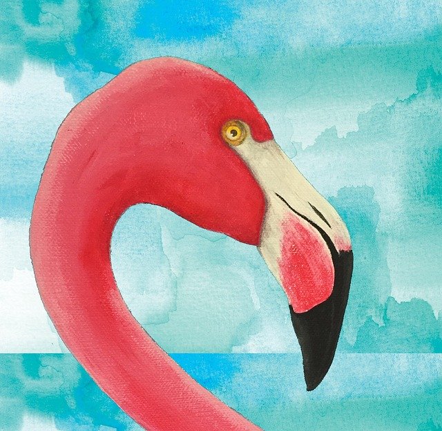 Free download Flamingo Watercolour Bird -  free illustration to be edited with GIMP free online image editor