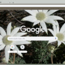 Flannel Flower  screen for extension Chrome web store in OffiDocs Chromium