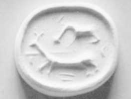 Free download Flattened hemispheroid seal free photo or picture to be edited with GIMP online image editor