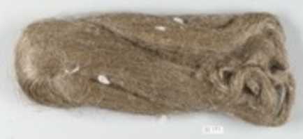 Free download Flax (Hank) free photo or picture to be edited with GIMP online image editor