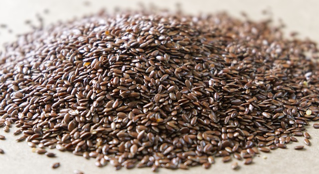Free download flax seeds brown chia healthy free picture to be edited with GIMP free online image editor