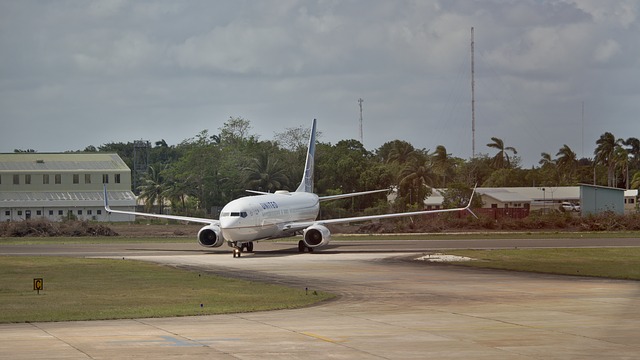 Free download flight boeing 737 aircraft travel free picture to be edited with GIMP free online image editor