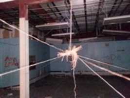 Free download Flizzy 1 free photo or picture to be edited with GIMP online image editor