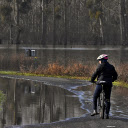 Flooded road  screen for extension Chrome web store in OffiDocs Chromium